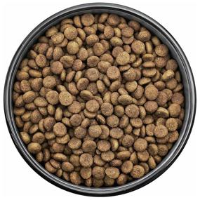 img 3 attached to Dry food for dogs Florida with lamb and pear 1 pack. x 1 pc. x 14 kg (for medium breeds)