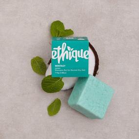 img 1 attached to Ethique Mintasy Refreshing Solid Shampoo Bar For Balanced To Dry Hair - Plastic-Free, Vegan, Cruelty-Free, Eco-Friendly, 3.88 Oz (Pack Of 1)