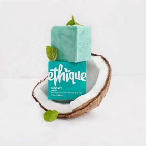 img 3 attached to Ethique Mintasy Refreshing Solid Shampoo Bar For Balanced To Dry Hair - Plastic-Free, Vegan, Cruelty-Free, Eco-Friendly, 3.88 Oz (Pack Of 1)
