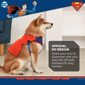 img 3 attached to DC Comics Superman Harness Accessories Cats