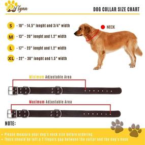 img 1 attached to 🐶 Durable Leather Dog Collar - High-Quality Collar for Small, Medium, Large, and Extra-Large Dogs - Stylish Black and Brown Options