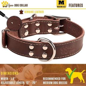 img 3 attached to 🐶 Durable Leather Dog Collar - High-Quality Collar for Small, Medium, Large, and Extra-Large Dogs - Stylish Black and Brown Options