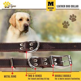 img 2 attached to 🐶 Durable Leather Dog Collar - High-Quality Collar for Small, Medium, Large, and Extra-Large Dogs - Stylish Black and Brown Options