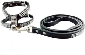 img 4 attached to JWPC Harness Leather Padded Sparkly Rhinestone Dogs : Training & Behavior Aids