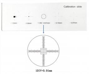 img 2 attached to Accurate Microscope Calibration With TS-M2 Stage Micrometer Slide – 5 Scales And 0.01Mm Resolution