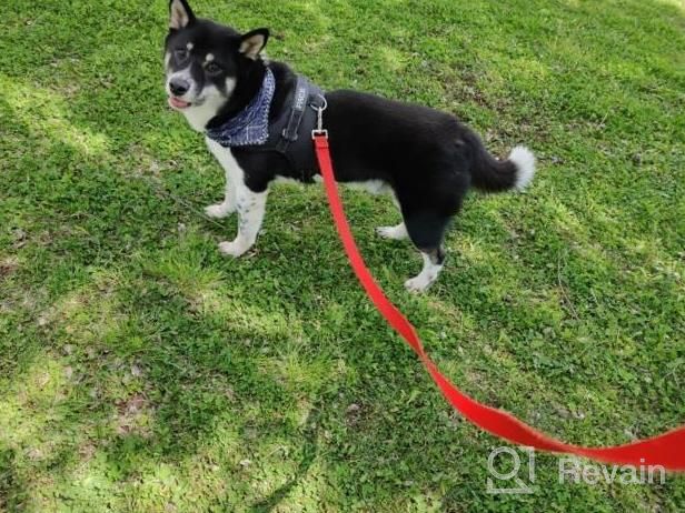 img 1 attached to Festive Christmas Dog Bandanas - Reversible Red Green Plaid Triangle Bids Snowflakes - Perfect Pet Costume Accessories For Cats & Dogs review by Michelle Dreger