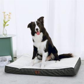 img 4 attached to 🐶 Shilucheng Black-White Dog Bed - Medium Size - Egg Crate Foam with Removable Oxford Cover for Large/Medium/Small Dogs - Waterproof, Washable & Durable - Ideal Sleeping and Anti-Anxiety Pet Bed for Crates