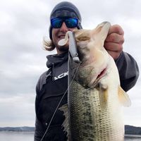 true swimbaits 로고