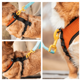 img 1 attached to Size M. Adjustable dog harness K9 Sport Harness , yellow
