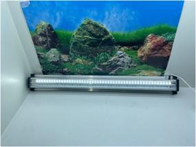 img 3 attached to Aquarium LED lamp ZelAqua LED White 1000 mm