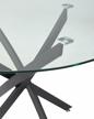 kitchen table m city petal d110, d: 110 cm, tabletop thickness: 1 cm, transparent logo