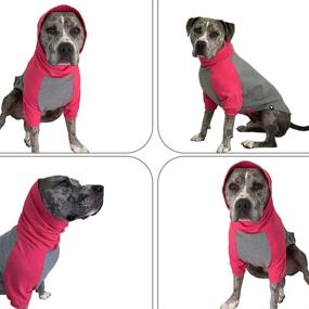 img 1 attached to Tooth Honey Sweater Pitbull Sweatshirt Dogs ... Apparel & Accessories