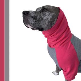 img 3 attached to Tooth Honey Sweater Pitbull Sweatshirt Dogs ... Apparel & Accessories