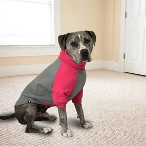 img 2 attached to Tooth Honey Sweater Pitbull Sweatshirt Dogs ... Apparel & Accessories