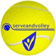 serve and volley logo