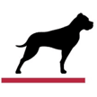 gp bullhound logo