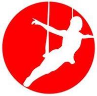 alexander aerial acrobatics logo