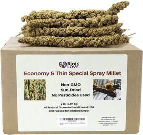 img 2 attached to 🐦 Birds LOVE Spray Millet: The Perfect Healthy Treat for Cockatiels, Lovebirds, Parakeets, Finches, Canaries, and All Parrots