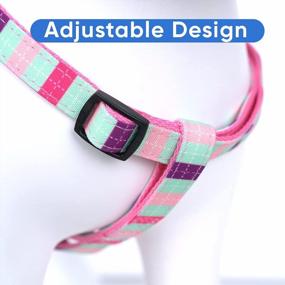 img 1 attached to Adjustable Solid Color Step-In Pet Harness With Matching Collar - Small Teal, Pink, And Purple - 6 Feet Leash (Sold Separately)