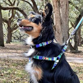 img 3 attached to Adjustable Solid Color Step-In Pet Harness With Matching Collar - Small Teal, Pink, And Purple - 6 Feet Leash (Sold Separately)