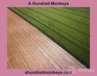 картинка 1 прикреплена к отзыву A Hundred Monkeys от Onsommoshit Mathews