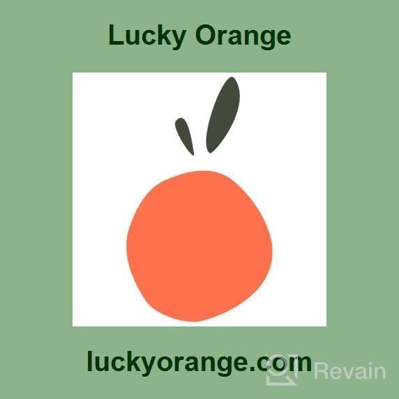 img 1 attached to Lucky Orange review by Richard Summerall
