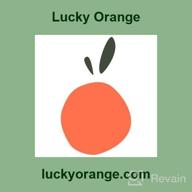 img 1 attached to Lucky Orange review by Richard Summerall