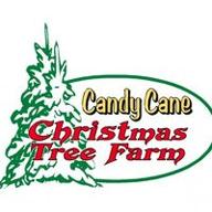 candy cane tree farm logo