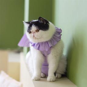 img 1 attached to 🐾 Yeapeeto Cat Recovery Suit: Purple M Bodysuit for Post-Surgery Wounds, E-Collar Alternative with Abdominal Defense, Breathable & Warm Kitten Clothes