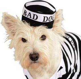 img 2 attached to Rubie's Pet Costume: Large Prisoner Outfit for Dogs