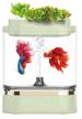 aquarium set 1.5 l xiaomi descriptive geometry c300 mini fish tank green logo