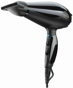 hairdryer moser 4350-0050, black logo