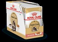 wet food sauce for adult cats royal canin maine coon adult for maine coon cats aged 1 to 12 years, 24 x 0.085kg logo