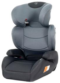 img 4 attached to Car seat group 2/3 (15-36 kg) RANT Macro City line, gray