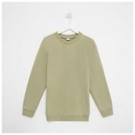 jumper (sweatshirt) for men minaku: casual collection man khaki color, size 48 logo