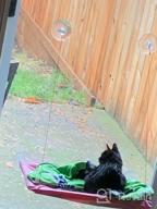 img 1 attached to Give Your Kitty A Comfy Spot With Noyal Cat Resting Seat Perch Window Hammock - Holds Up To 30Lbs! review by Mod Kindred
