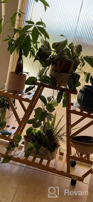 img 1 attached to Bamboo 6 Tier Rolling Plant Stand - Stylish Indoor/Outdoor Planter Display Rack For Your Patio Or Living Room review by Relap Villa