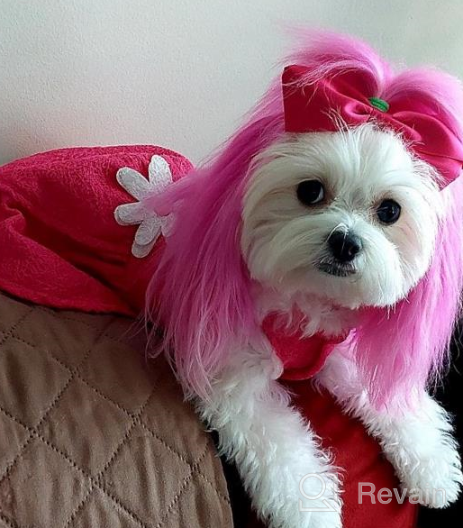 img 1 attached to Small Dog Dress Harness D-Ring Outfit Costume Bow Hair Rope Birthday Gift DT01L review by Jeffrey Shatzel