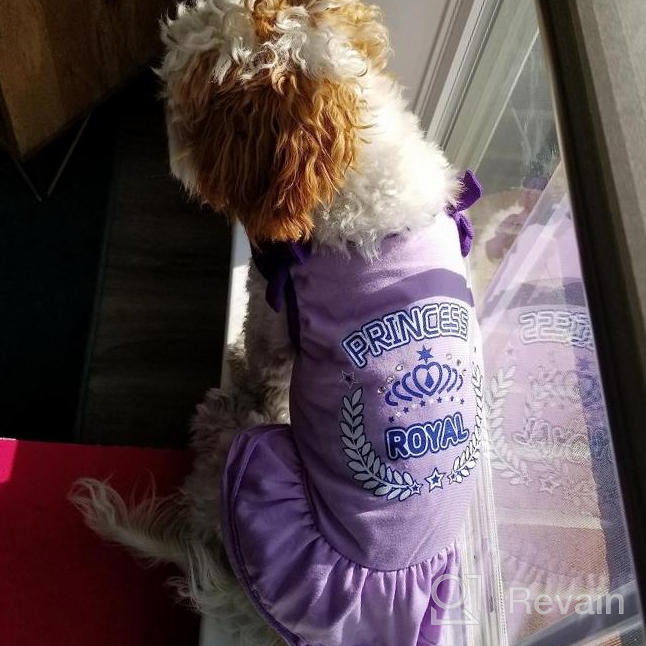 img 1 attached to 2 Pack Princess Bowtie Dog Dresses - Cute Sundresses For Small Dogs By KYEESE review by Steve Lawrence