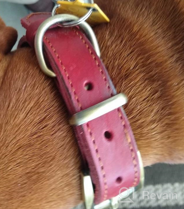 img 1 attached to Didog Genuine Leather Dog Collars With Engraved Nameplate, Personalized Soft Leather Dog Collar With Custom ID Tag, Brown/Green/Red For Medium Large Dogs (S, Brown Set) review by Matthew Augustin