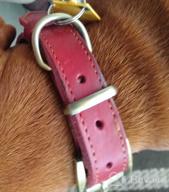img 1 attached to Didog Genuine Leather Dog Collars With Engraved Nameplate, Personalized Soft Leather Dog Collar With Custom ID Tag, Brown/Green/Red For Medium Large Dogs (S, Brown Set) review by Matthew Augustin