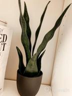 img 1 attached to Artificial Plants Sansevieria Snake Mini Plant With Black Plastic Planter Greenery Perfect Faux Agave Fake Plants In Pot For Home Office Indoor And Outdoo Décor (16" Green/ 12 Leaves) review by Travis Chavis