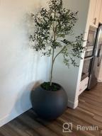img 1 attached to Artificial Olive Tree - 5.25Ft Tall Faux Potted Silk Tree With Planter, Large Olive Branch And Fruit Decoration, Indoor Home Decor For Modern Living Spaces, 1032 Leaves review by Paul Martindale