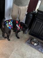img 1 attached to Washable Male Dog Belly Wraps: Keep Your Pup Clean And Mess-Free With CuteBone Diapers (DM07XS) review by Joshua Jemison