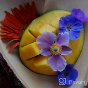 img 6 attached to Handcrafted Heart-Shaped Bowl Made Of Eco-Friendly Mango Wood With Bark