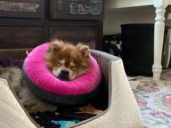 img 1 attached to GoodBoy Pink Inflatable Donut E-Collar For Dogs & Cats – Comfortable Post Surgery Or Wound Recovery Collar (2) review by Isaiah Boys