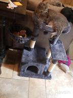 картинка 1 прикреплена к отзыву Deluxe Cat Tree Condo With Scratching Post, Plush Perch And Cozy Basket - Perfect For Your Kitten'S Comfort And Playtime! от Jason Clemons