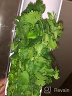 img 1 attached to Preserve Fresh Herbs With Prepara Herb Savor Pod 2.0 review by Matt Reid