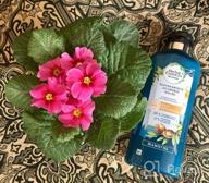 img 1 attached to Twin Pack Herbal Essences Shampoo - Optimize Your Hair Care Routine review by Aneta Szymaska ᠌