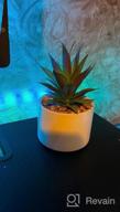 img 1 attached to Add Greenery To Your Space With Lvydec Artificial Boston Fern Succulent Plant And Ceramic Pot Decoration review by Kyle Merriman